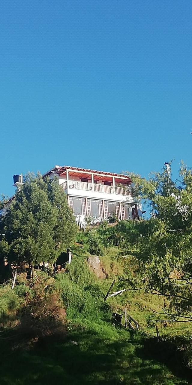 Hotel El Cangrejo 派帕 外观 照片